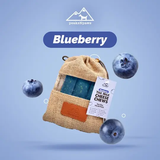 Blueberry Yak Chew